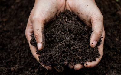 Why Is Soil Screening Important: Key Benefits Explained